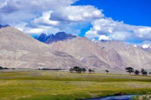 Breathtaking view of Nubra Valley's vibrant meadow and towering mountains under a clear blue sky.