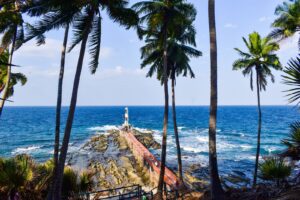 A stunning view of a tropical pier surrounded by palm trees and a blue ocean.
