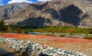Majestic mountain view with vibrant autumn foliage and a stone wall in the foreground.