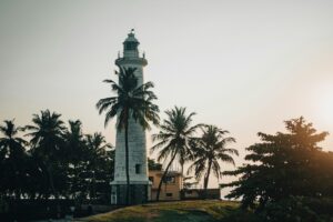A lighthouse stands among palm trees at sunset